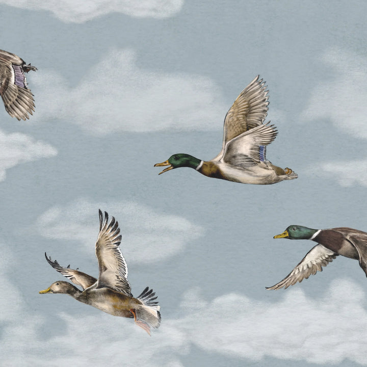 Voyage duvar kağıdı