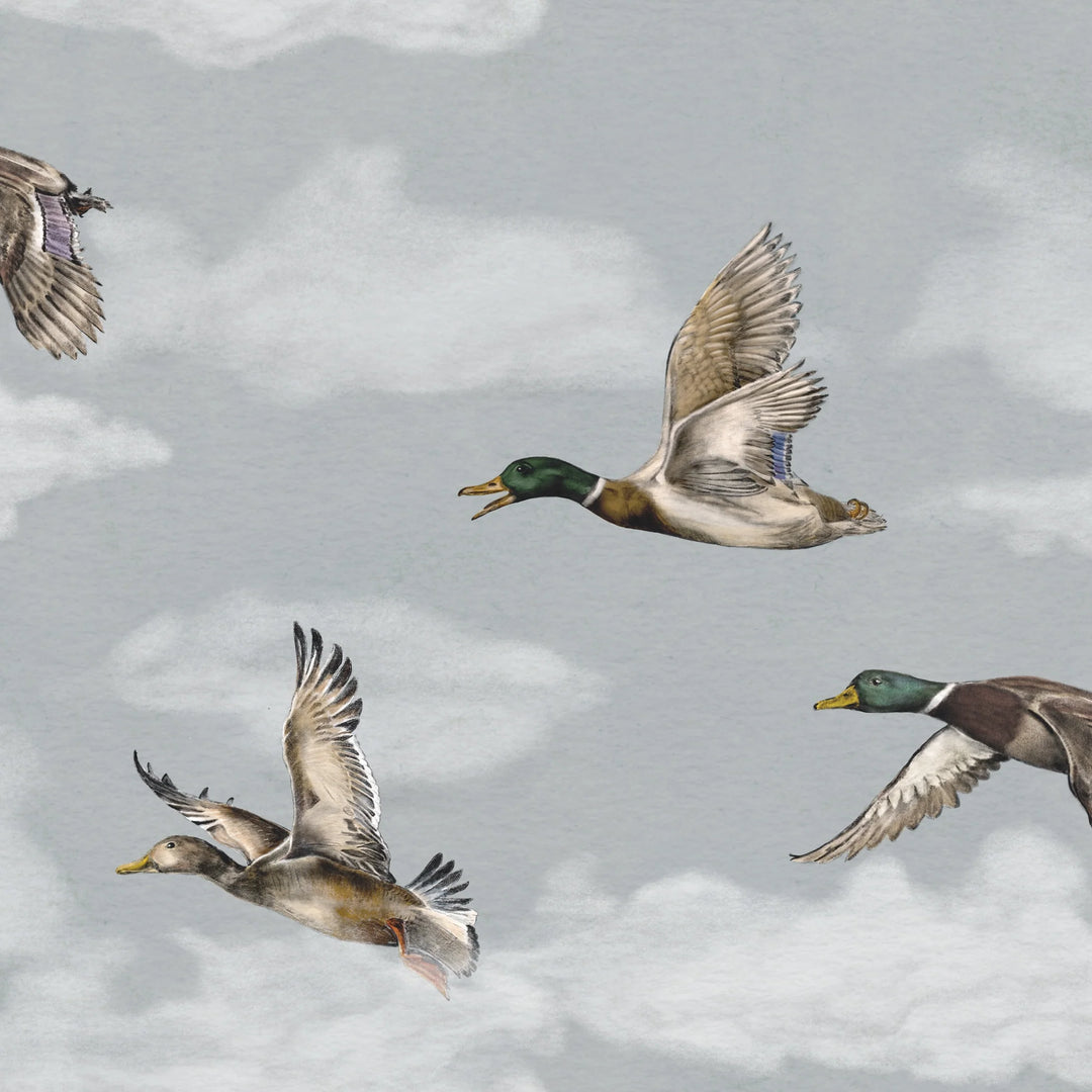 Voyage duvar kağıdı