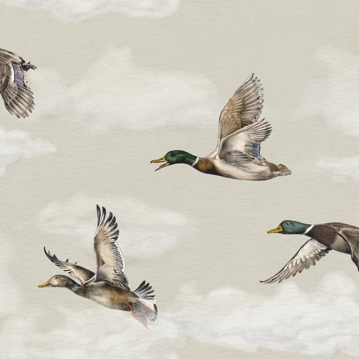 Voyage duvar kağıdı