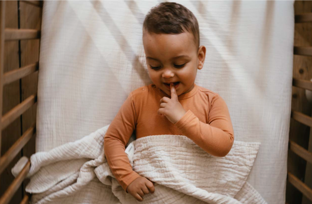 Ріволі Ковдра