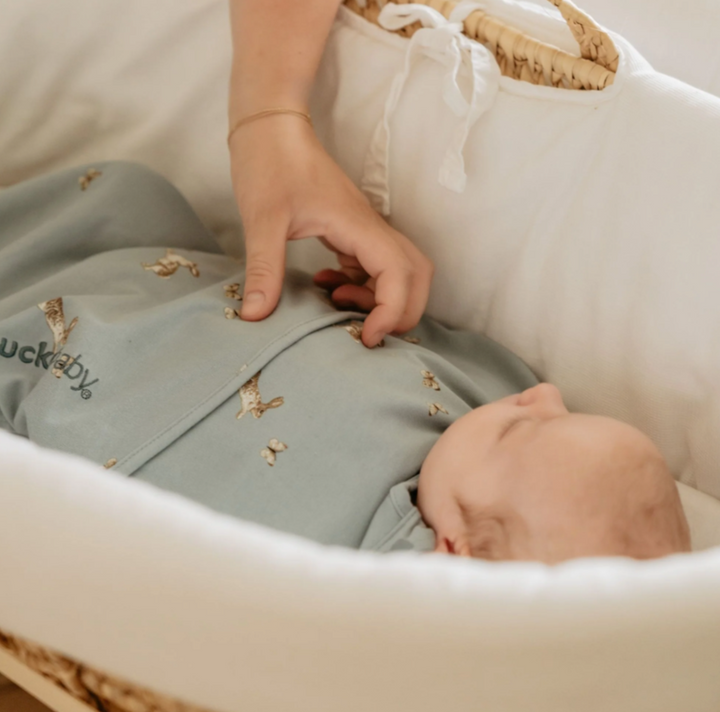 Piep newborn swaddle sleep bag